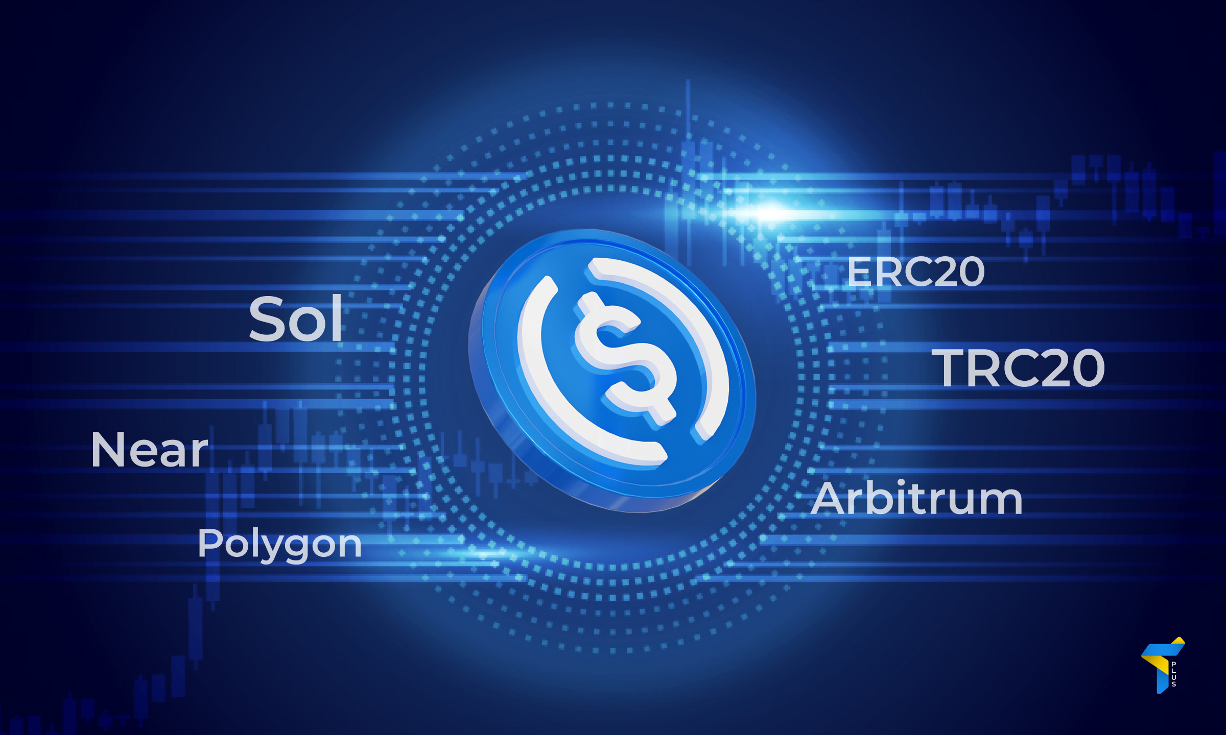USDC and USDT: differences, advantages, which one to choose