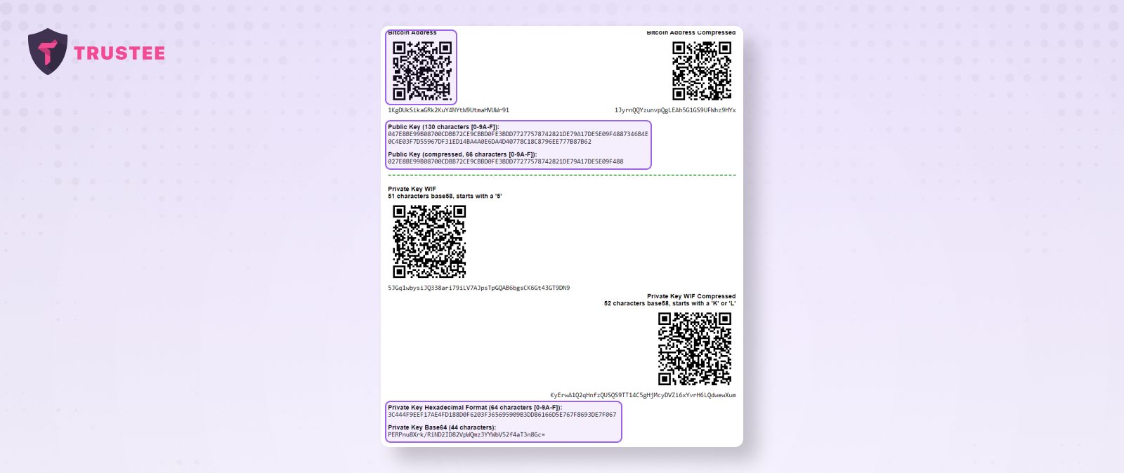 Jak sprawdzić adres portfela Bitcoin i innych kryptowalut?