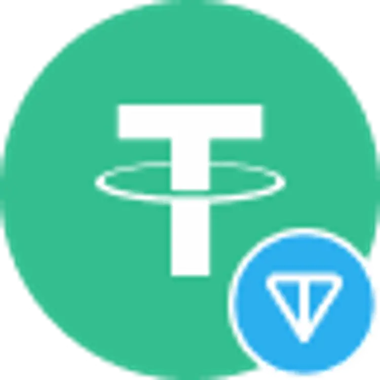 coin icon