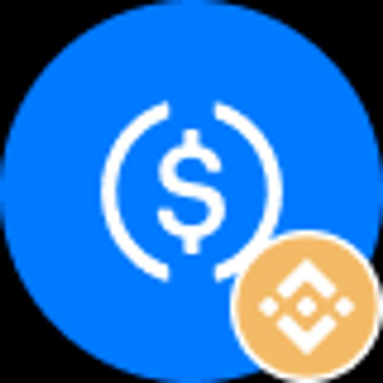 coin icon