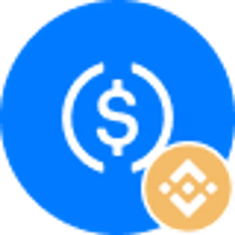 coin icon
