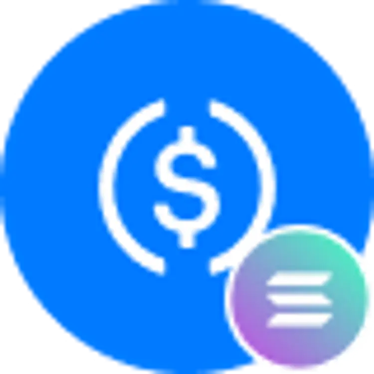 coin icon