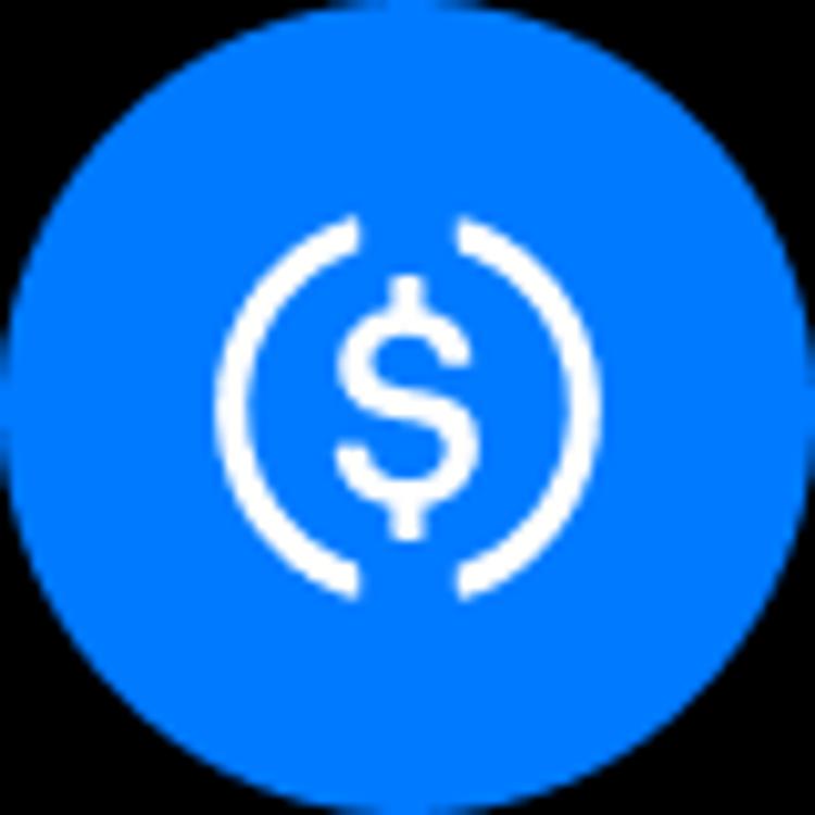 coin icon