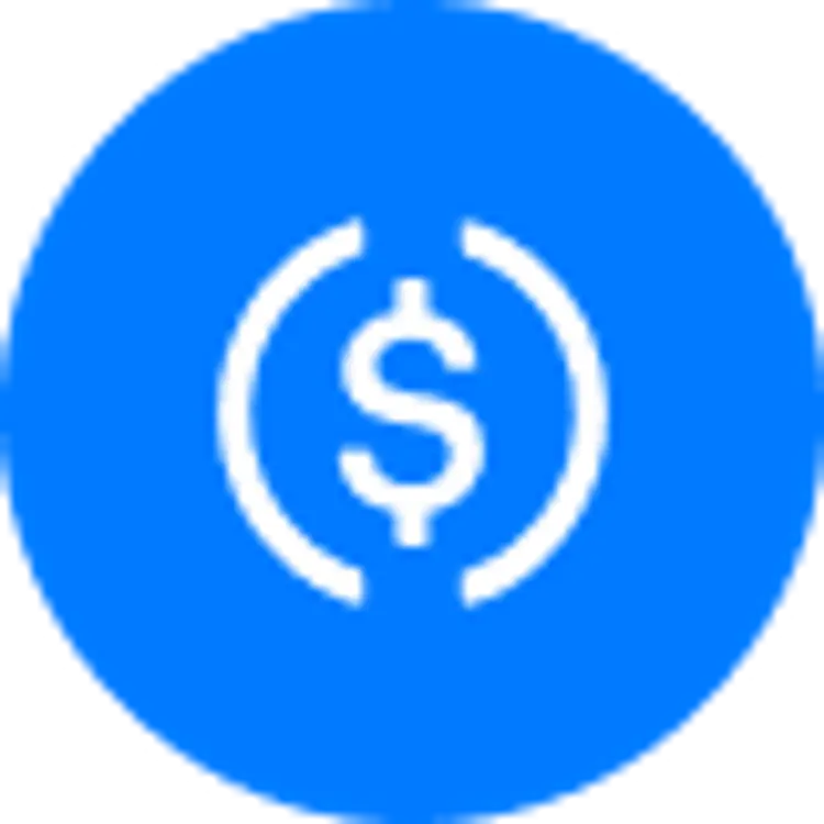 coin icon