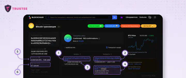 данные транзакции BTC в блокчейн-обозревателе