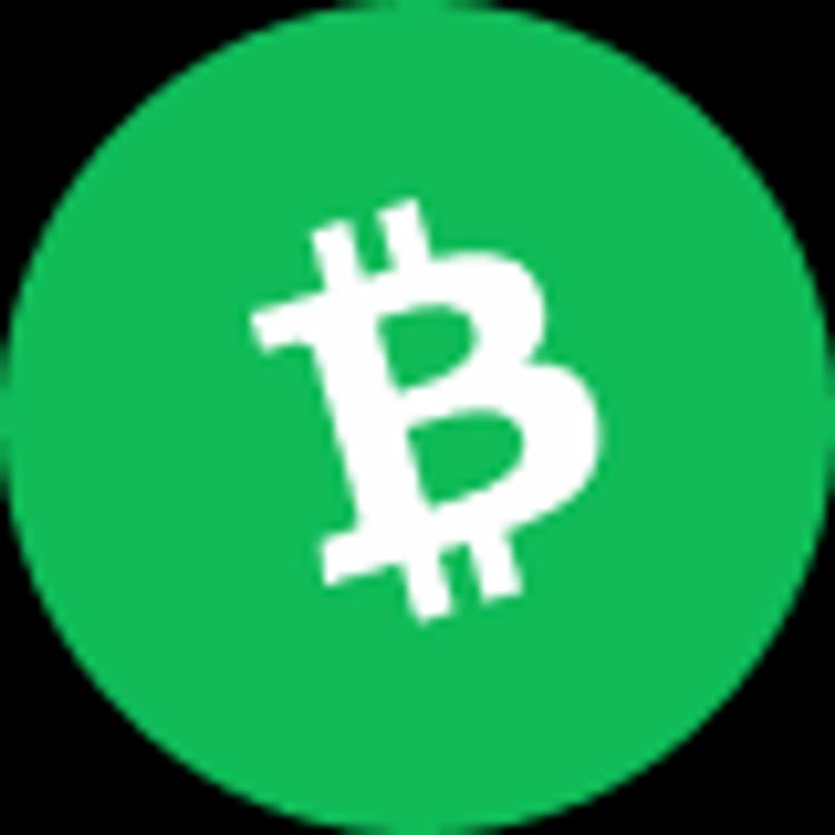 coin icon