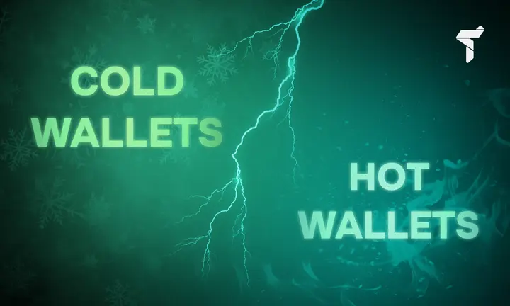 Portfel gorący vs zimny: bezpieczeństwo portfela kryptowalut i przechowywanie