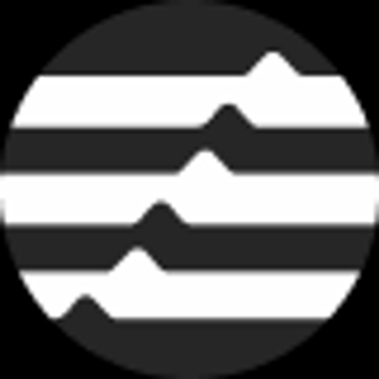 coin icon