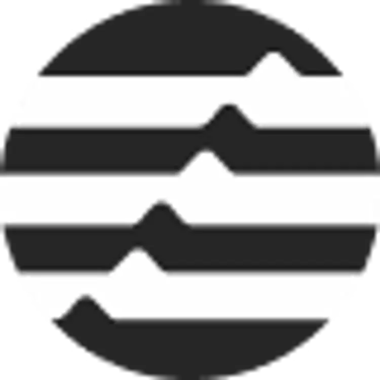 coin icon